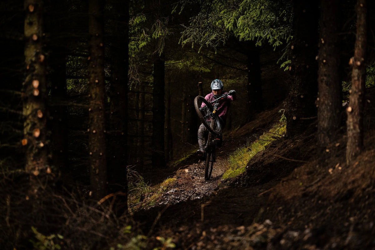Claymore in the forest
